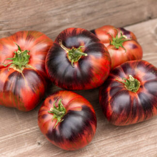 ЛЕПРЕКОН ГОША Leprechaun Gosha