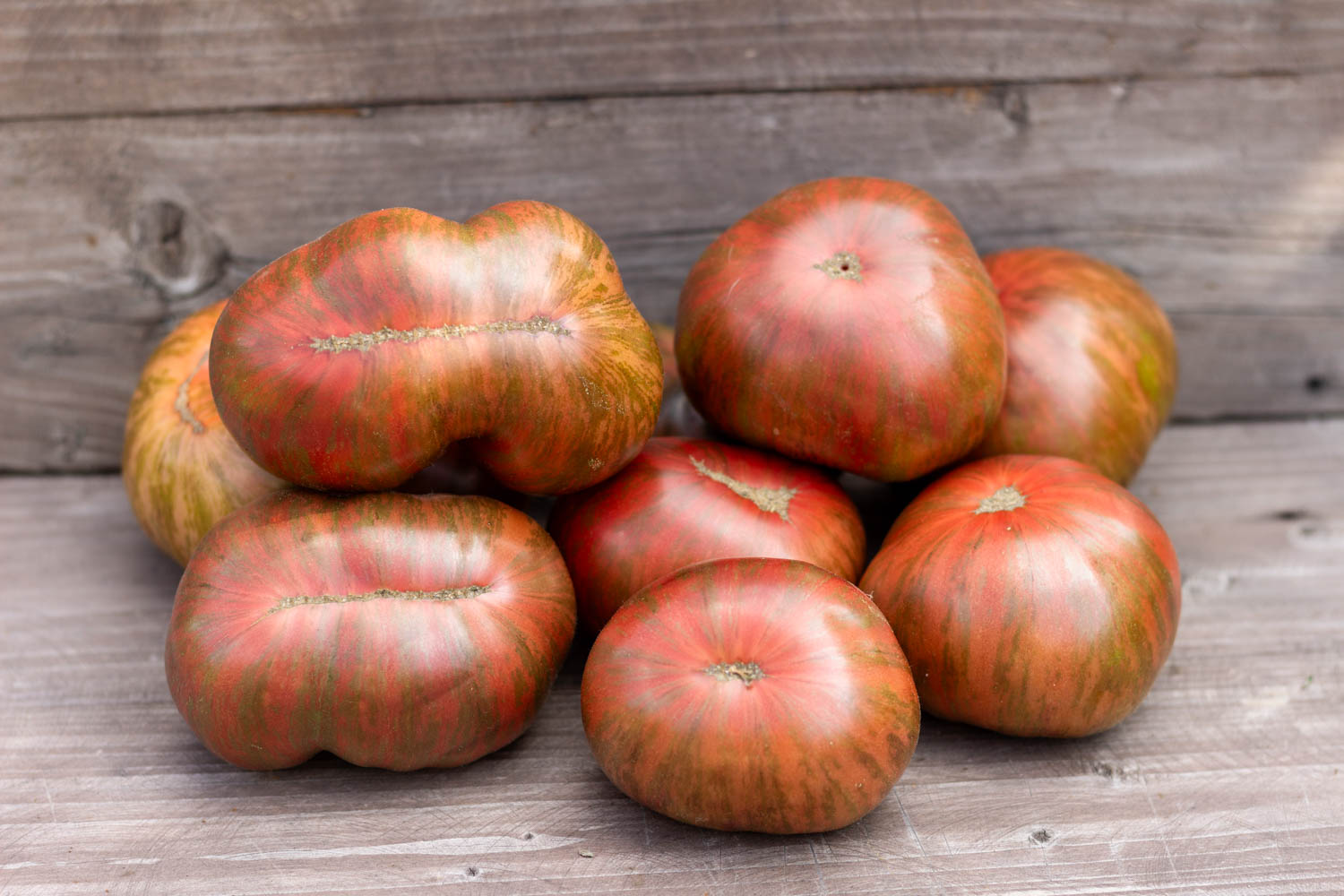 ЛЕПРЕКОН ЛЁНЯ Leprechaun Lenya — изображение 4