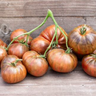 ЛЕПРЕКОН ЛЁНЯ Leprechaun Lenya