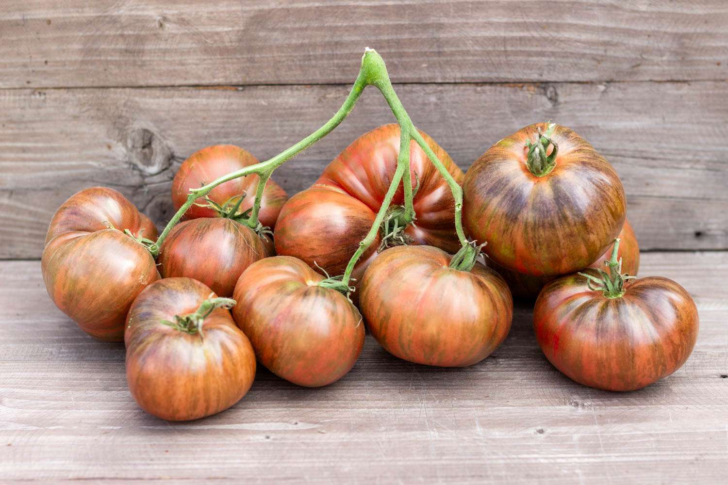 ЛЕПРЕКОН ЛЁНЯ Leprechaun Lenya