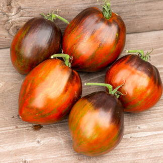 ЛЕПРЕКОН САША Leprechaun Sasha