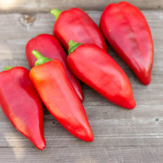 ЛИПСТИК КРАСНЫЙ Lipstick