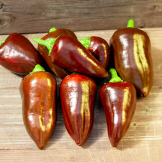 ЛИПСТИК ШОКОЛАД Lipstick Chocolate