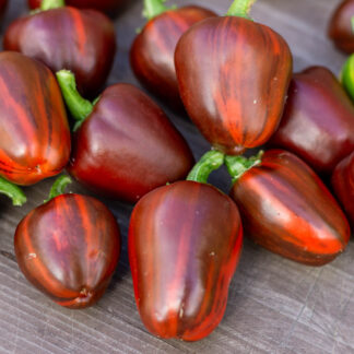 МАДАМ ПАРАПЛЮ Madame Paraplu