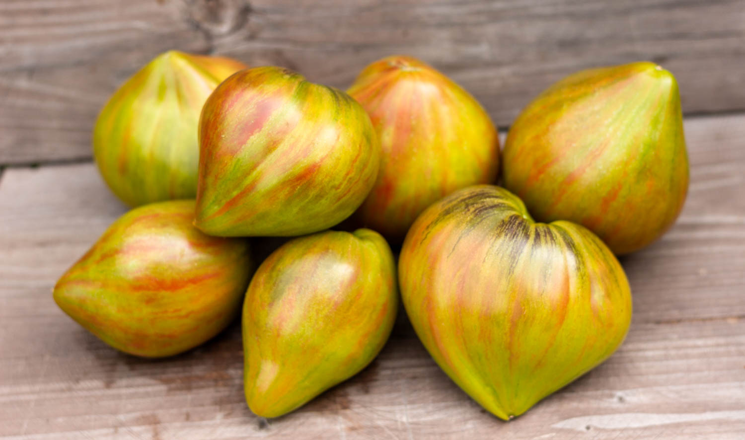 МАЛАХИТОВЫЙ ЭЛЬФ — изображение 5