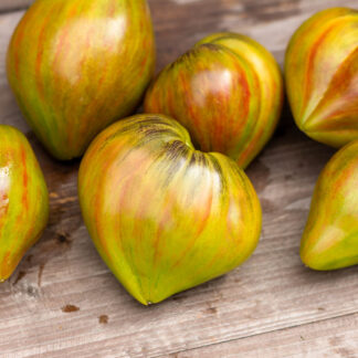 МАЛАХИТОВЫЙ ЭЛЬФ