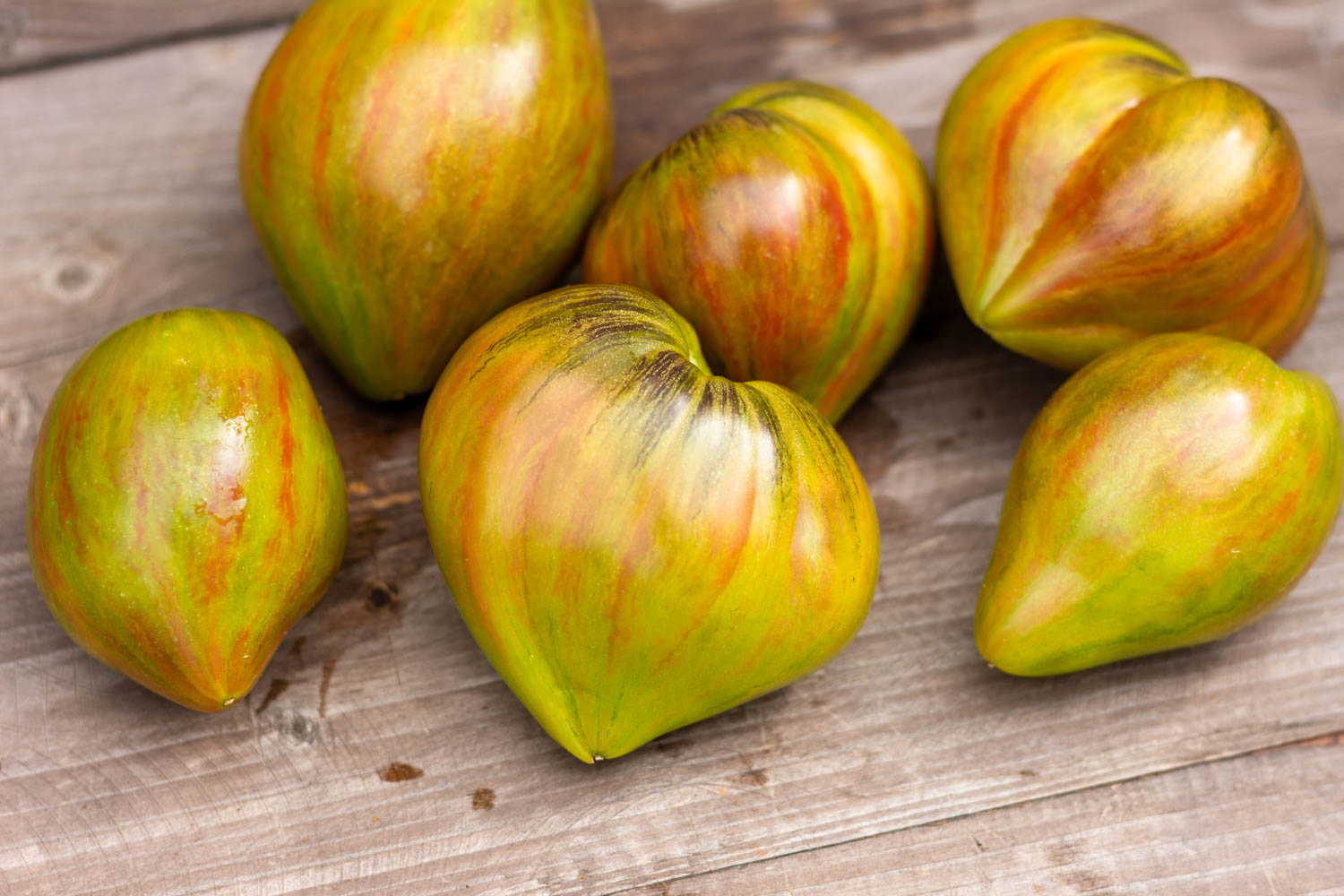 МАЛАХИТОВЫЙ ЭЛЬФ