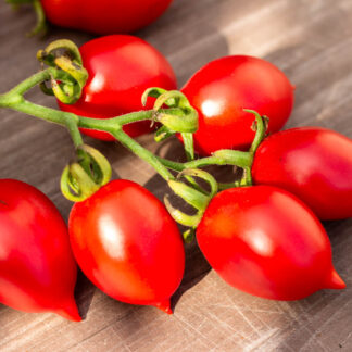 МАЛЕНЬКОЕ СМУЩЕНИЕ КЕРСТИН Kerstin`s piennolo