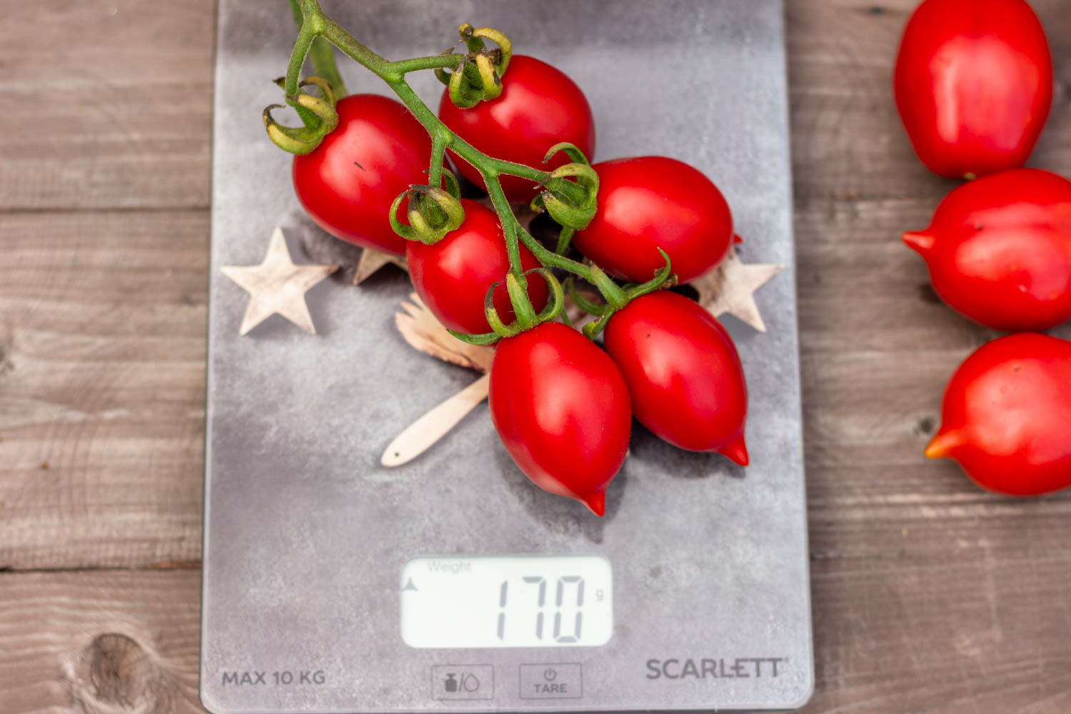 МАЛЕНЬКОЕ СМУЩЕНИЕ КЕРСТИН Kerstin`s piennolo — изображение 2