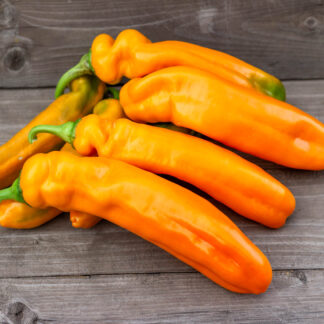 МАРКОНИ ГОЛД