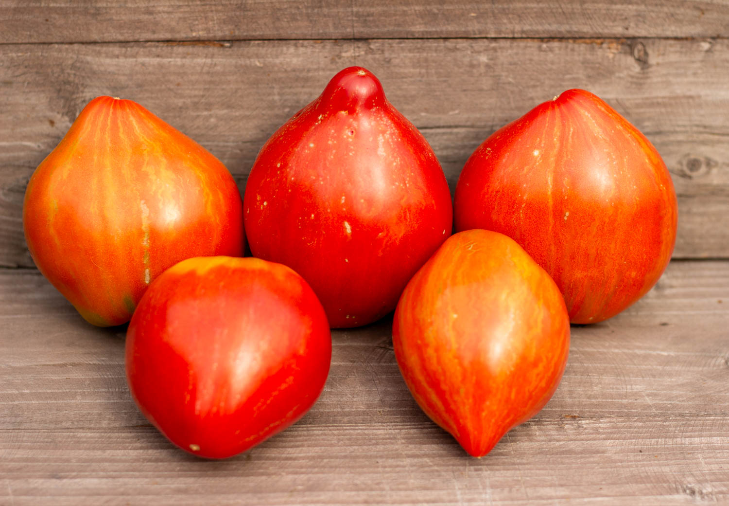 Мятежный звёздный истребитель дедушкино сердце Dwarf Rebel Starfigter Grandpa's Heart — изображение 4