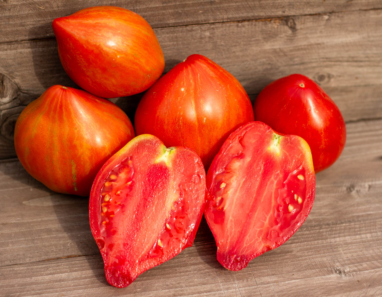 Мятежный звёздный истребитель дедушкино сердце Dwarf Rebel Starfigter Grandpa's Heart — изображение 2