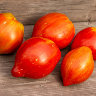 Мятежный звёздный истребитель дедушкино сердце Dwarf Rebel Starfigter Grandpa's Heart