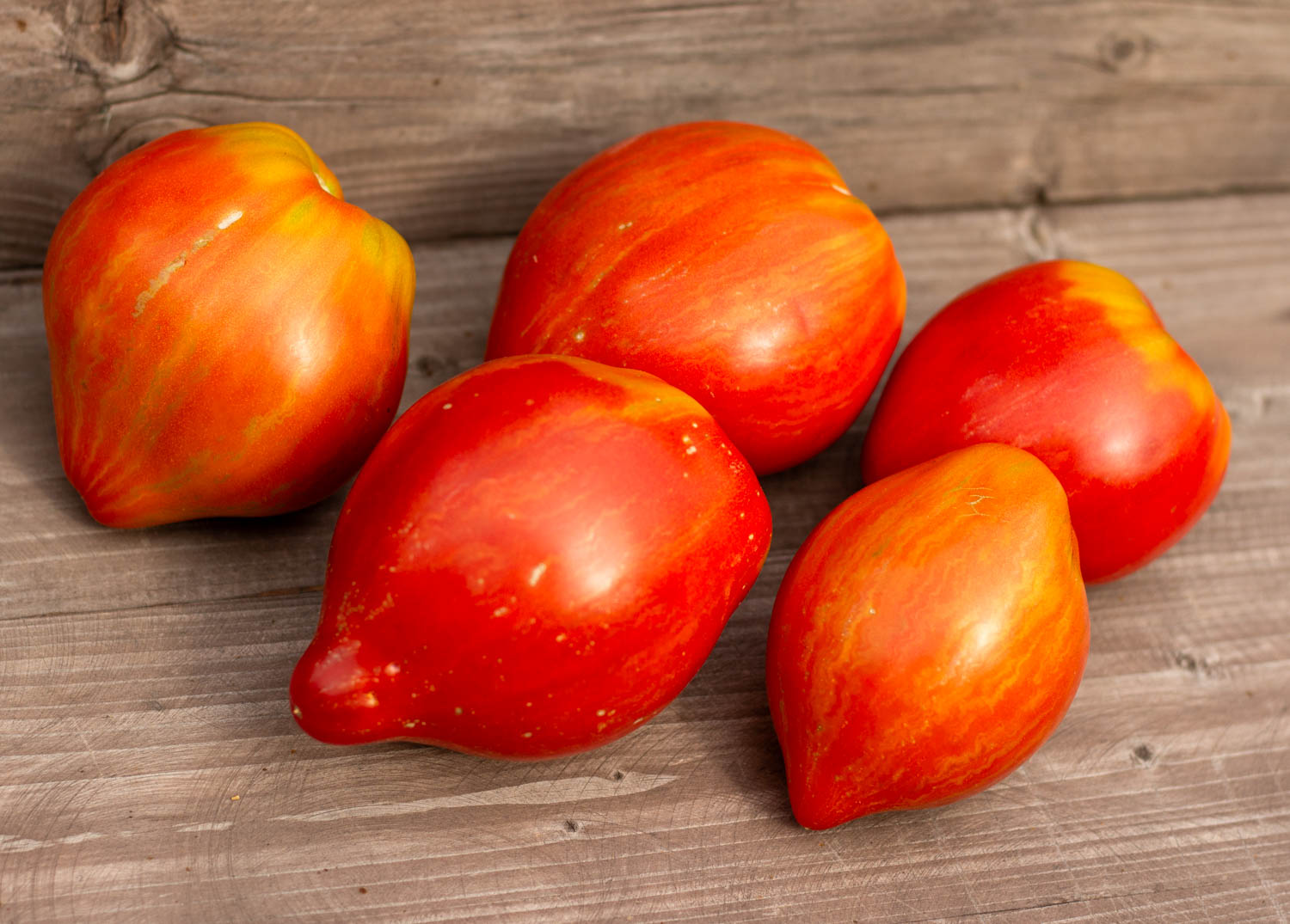 Мятежный звёздный истребитель дедушкино сердце Dwarf Rebel Starfigter Grandpa's Heart