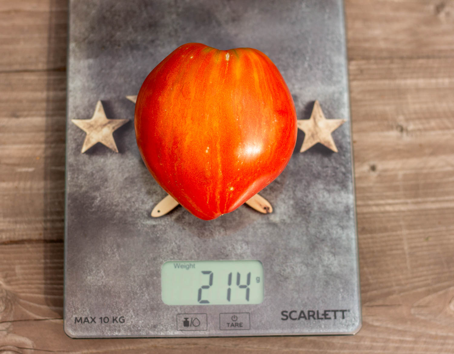 Мятежный звёздный истребитель дедушкино сердце Dwarf Rebel Starfigter Grandpa's Heart — изображение 3