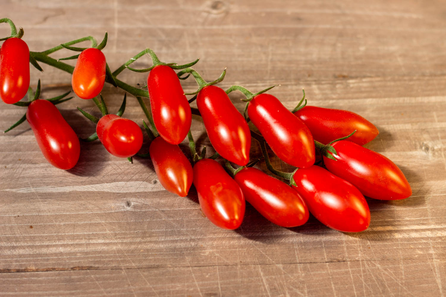 NN ЯРСОН 9 — изображение 3