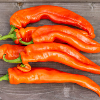 НУМЕКС САНСЕТ NuMex Sunset