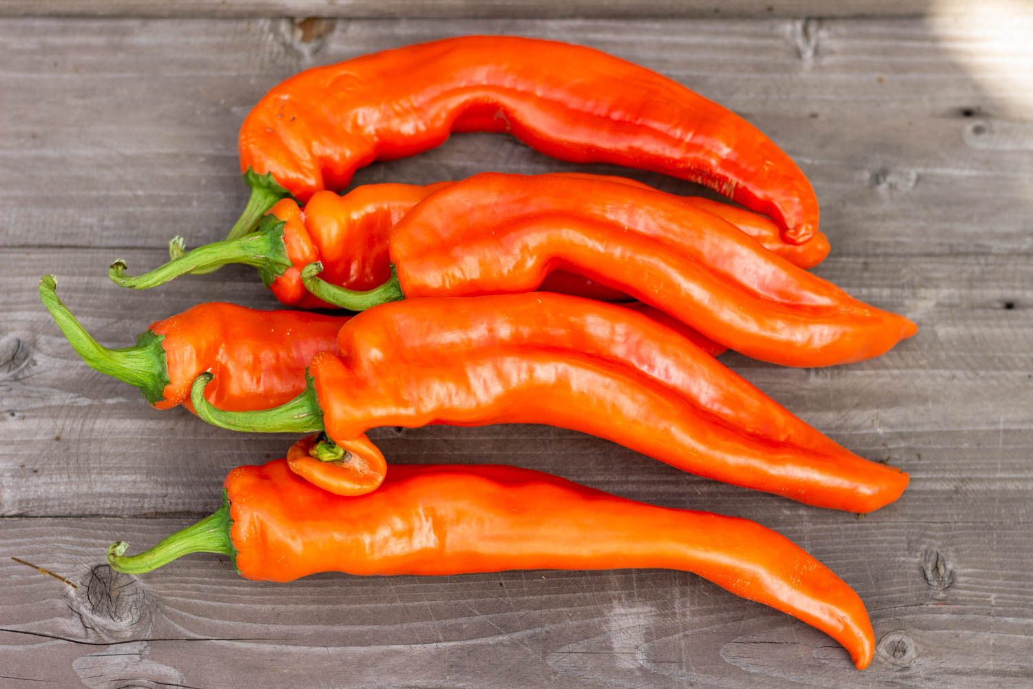 НУМЕКС САНСЕТ NuMex Sunset