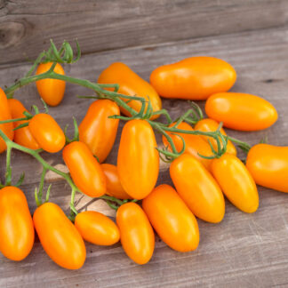 ОРАНЖЕВЫЕ КЛАВИШИ  Orange Keyes