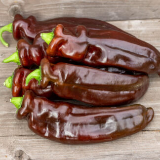 ПАЛЕРМО ШОКОЛАДНЫЙ f3