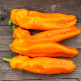 ПАЛЕРМО ОРАНЖЕВЫЙ f3