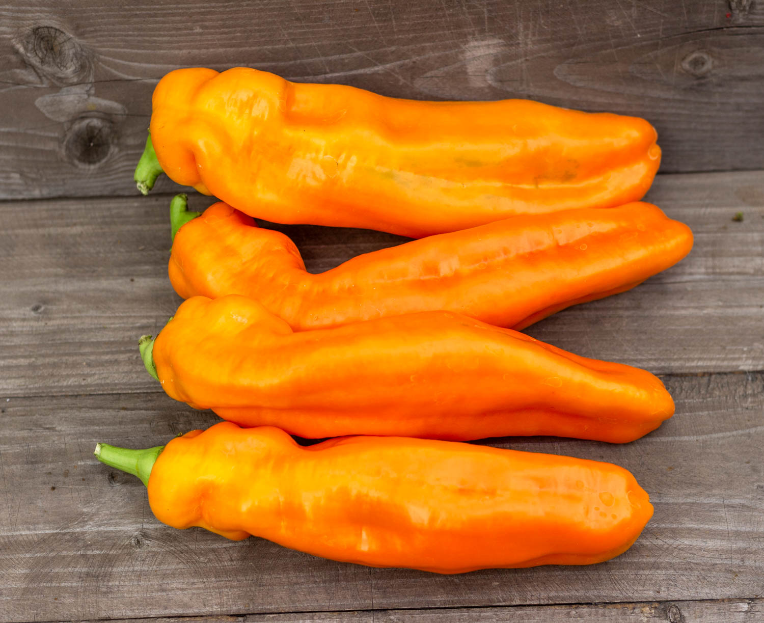 ПАЛЕРМО ОРАНЖЕВЫЙ f3