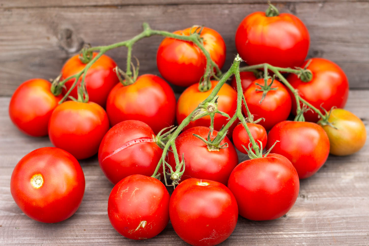 ПАН ЗАГРЕБА Zagrebacka Pana — изображение 2