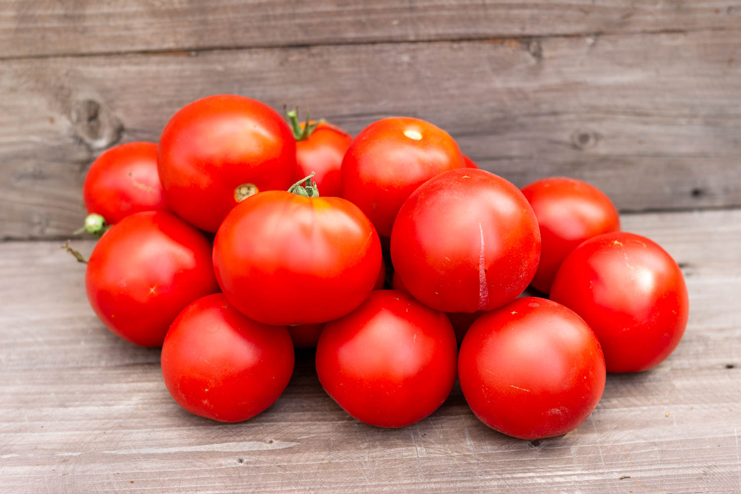 ПАН ЗАГРЕБА Zagrebacka Pana — изображение 3