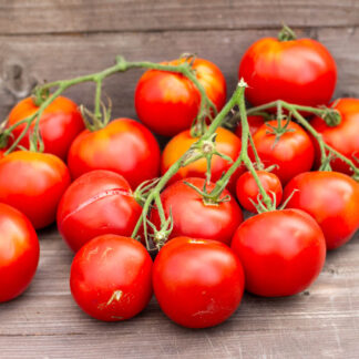 ПАН ЗАГРЕБА Zagrebacka Pana