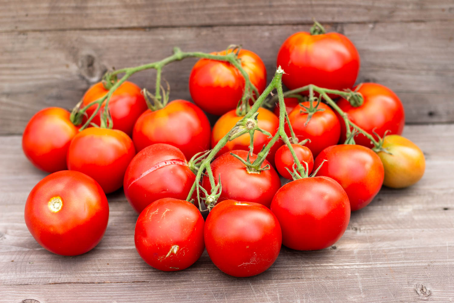 ПАН ЗАГРЕБА Zagrebacka Pana