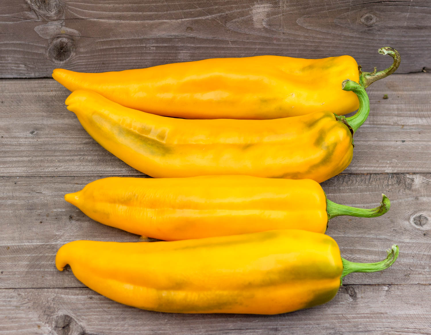 ПИПЕРОНЕ ЖЕЛТЫЙ