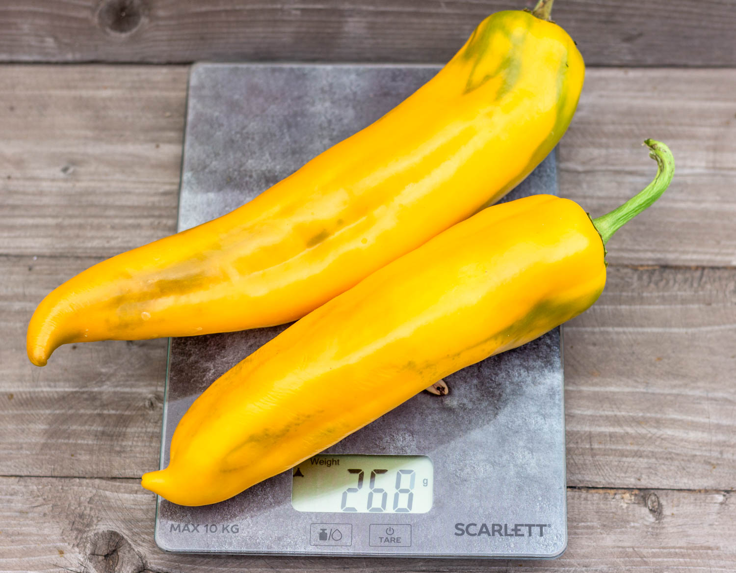 ПИПЕРОНЕ ЖЕЛТЫЙ — изображение 2