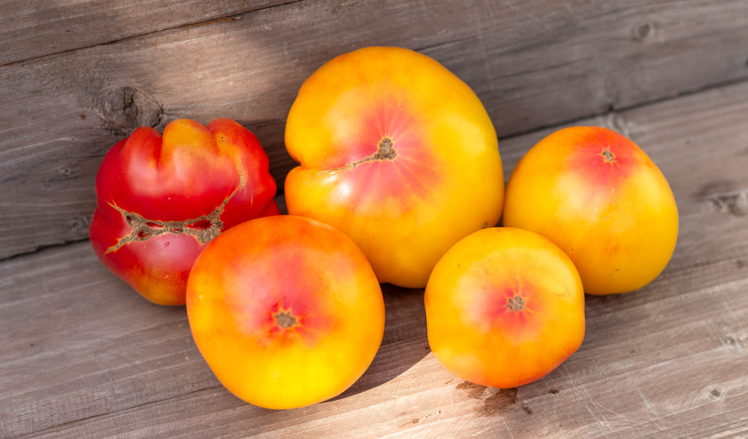 ПОТРЯСАЮЩИЙ Dwarf Awesome — изображение 4