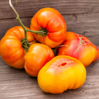 ПОТРЯСАЮЩИЙ Dwarf Awesome