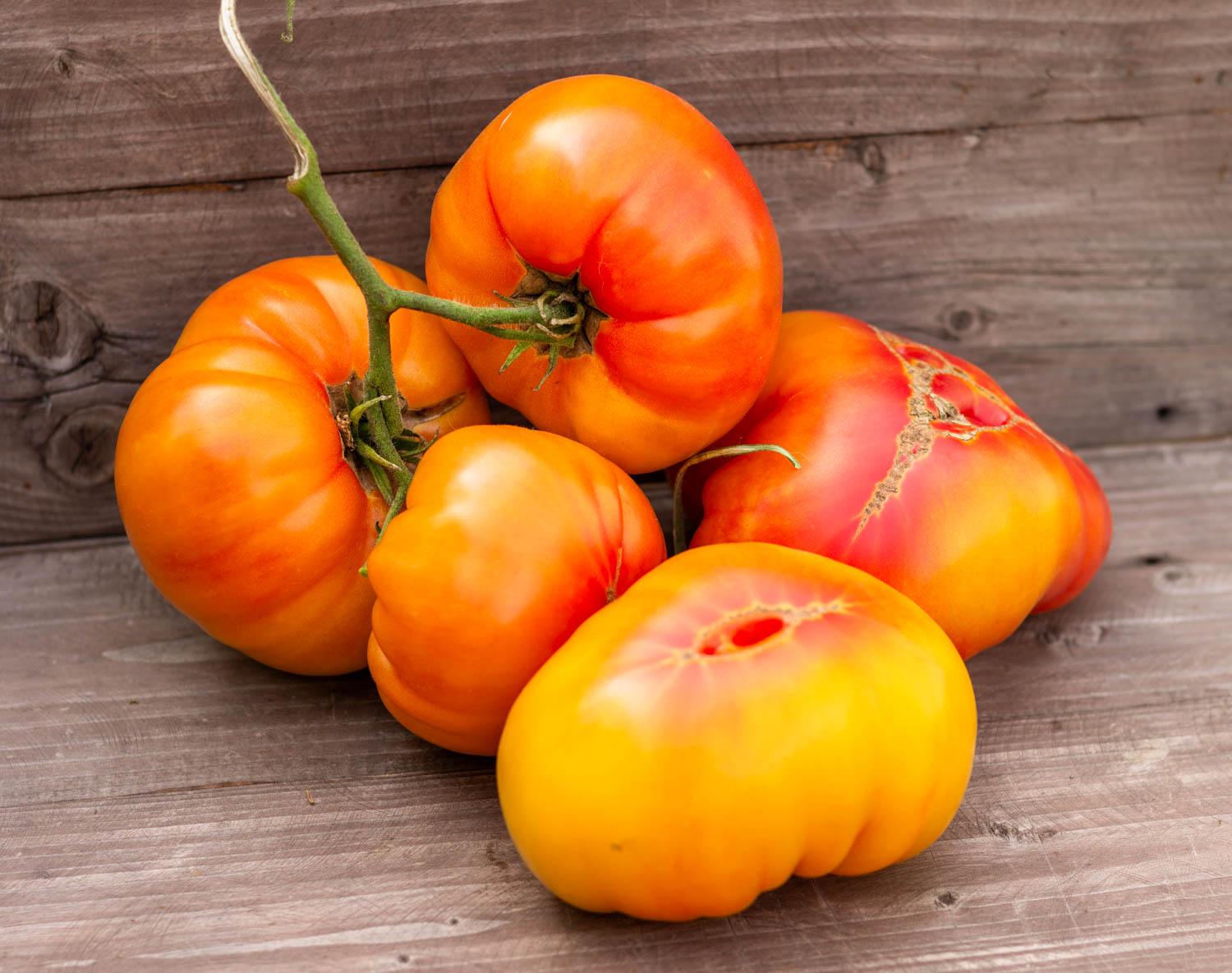 ПОТРЯСАЮЩИЙ Dwarf Awesome