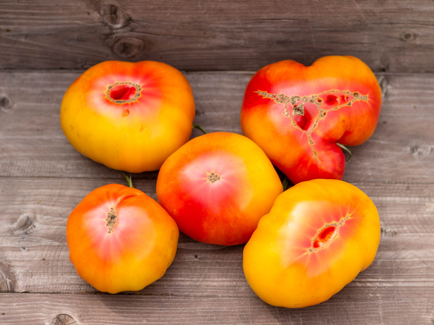 ПОТРЯСАЮЩИЙ Dwarf Awesome — изображение 3