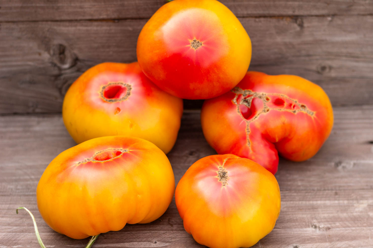 ПОТРЯСАЮЩИЙ Dwarf Awesome — изображение 2