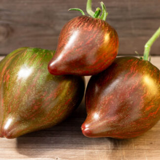 САЛЮТ ВИКТОРИИ