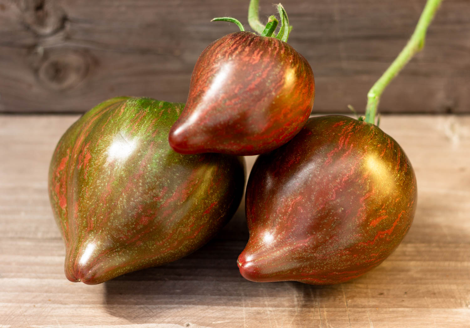 САЛЮТ ВИКТОРИИ