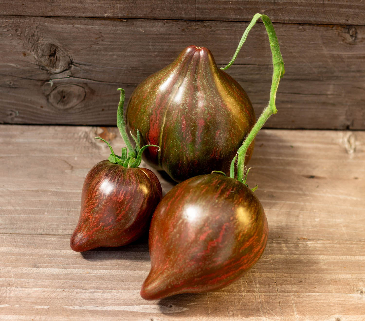 САЛЮТ ВИКТОРИИ — изображение 2