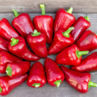 САН САЛЬВАТОРЕ ДОЛЬЧЕ San Salvatore Dolce