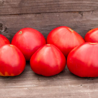 СЕРДЦЕ БЫКА ЭУГАНСКИХ ХОЛМОВ Cuor di Bue Colli Euganei