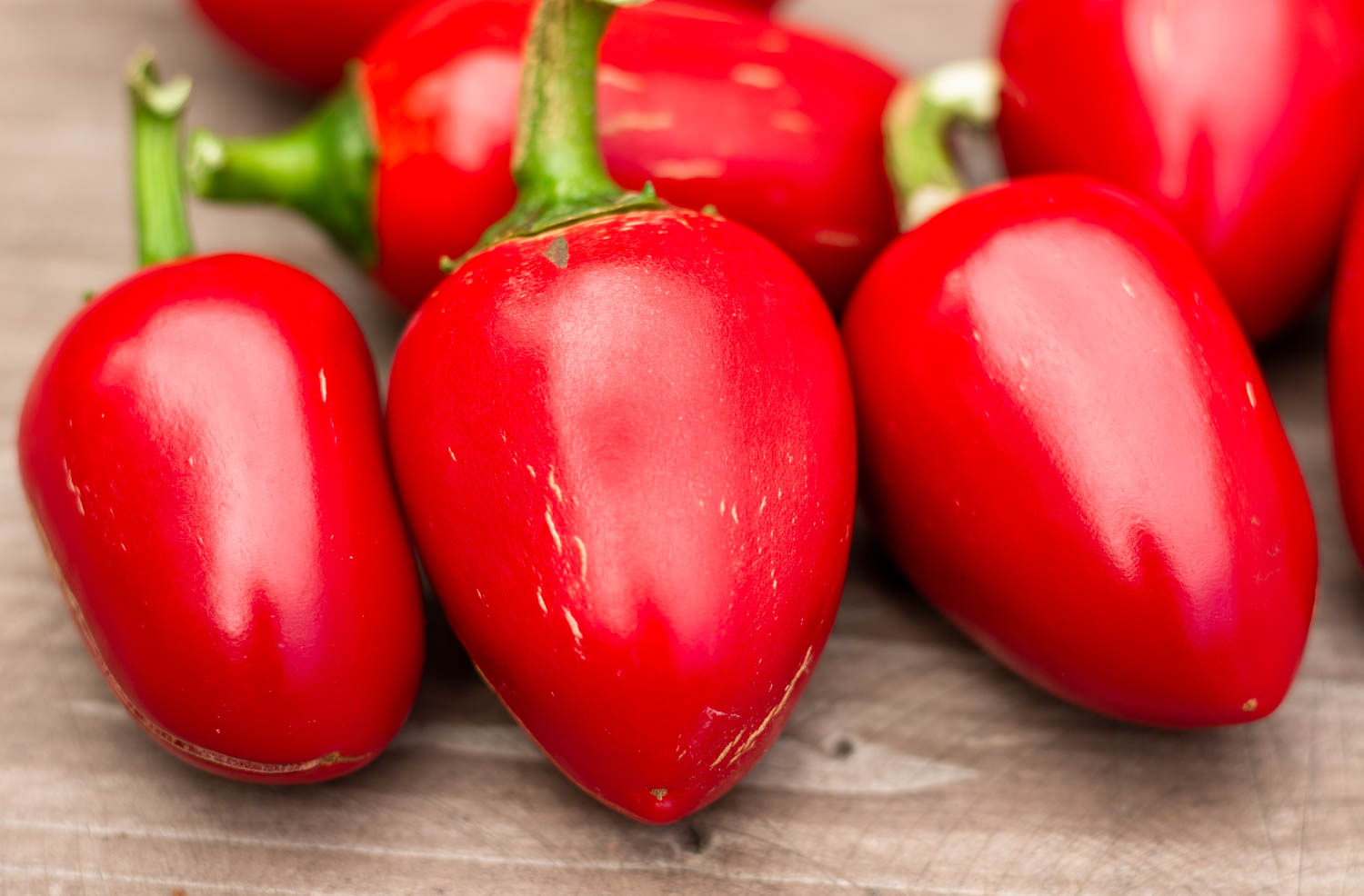 СЕРДЦЕ ЯГНЁНКА ДЬЯВОЛА Davil's Lamb Heart — изображение 3