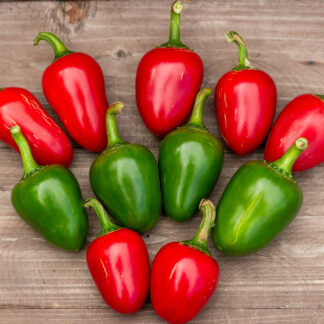 СЕРДЦЕ ЯГНЁНКА ДЬЯВОЛА Davil's Lamb Heart