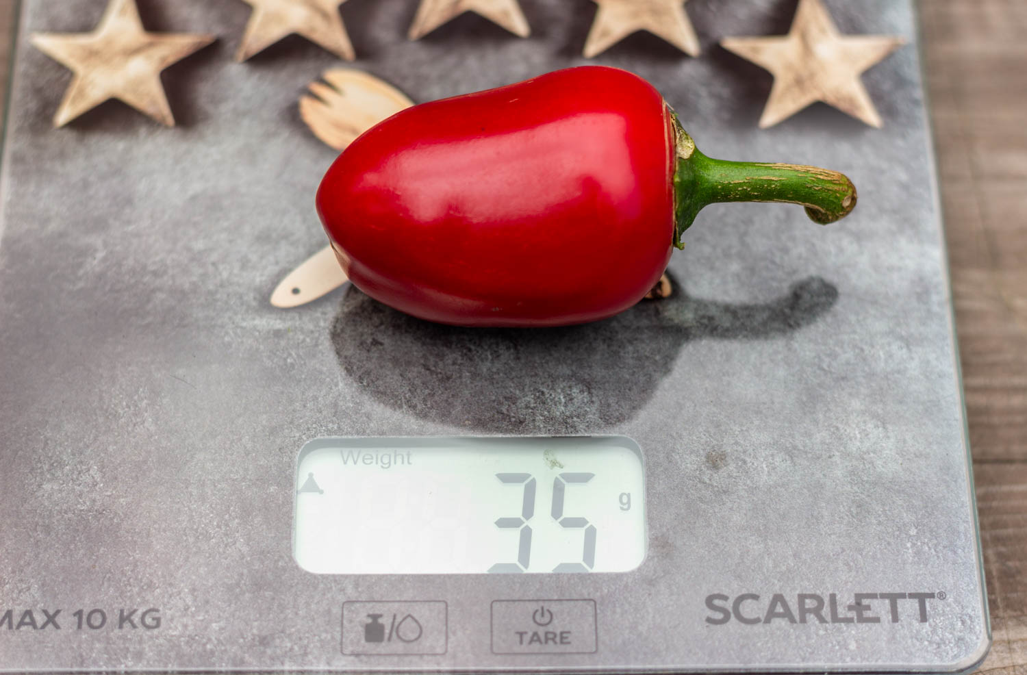 СЕРДЦЕ ЯГНЁНКА ДЬЯВОЛА Davil's Lamb Heart — изображение 2