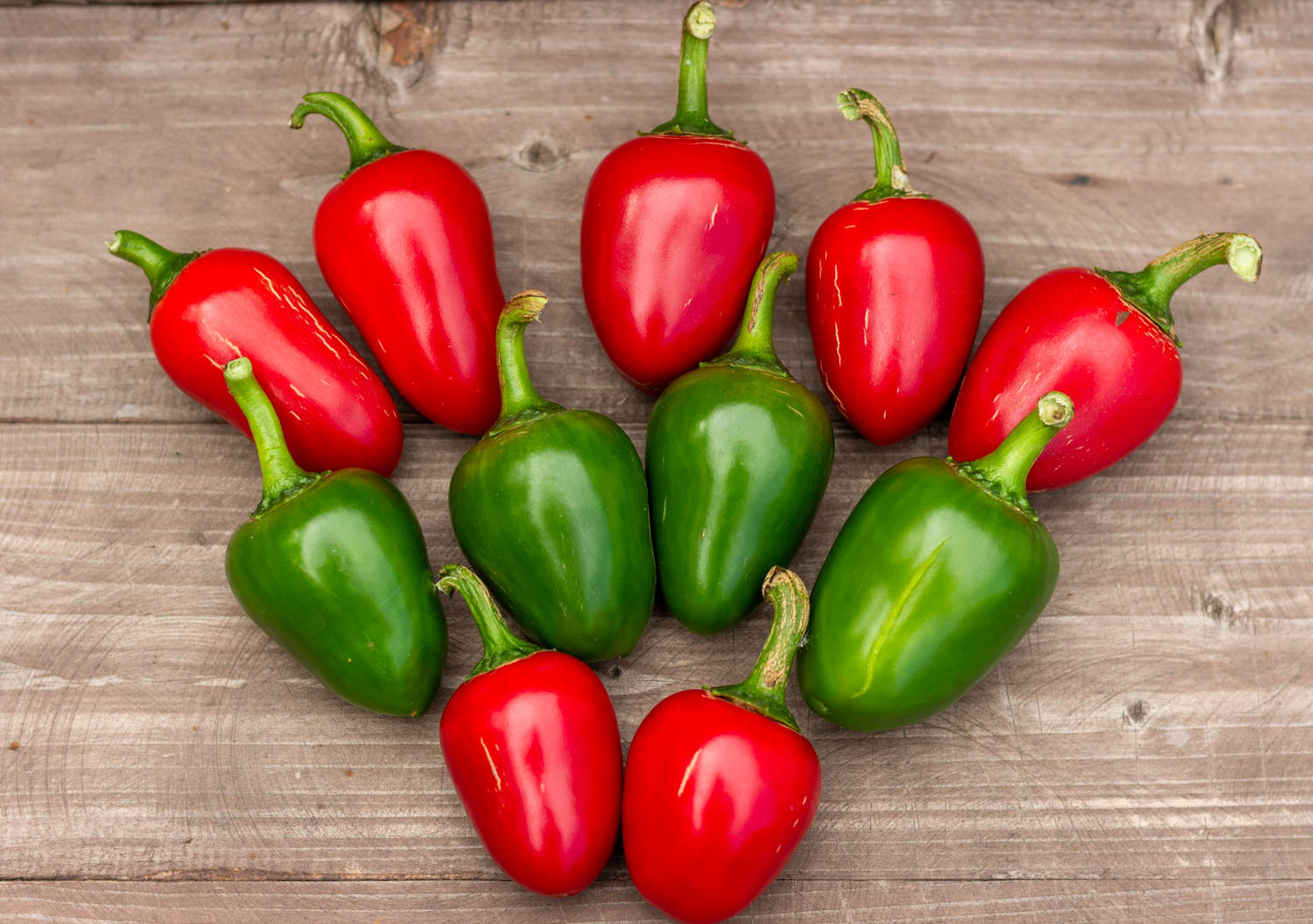 СЕРДЦЕ ЯГНЁНКА ДЬЯВОЛА Davil's Lamb Heart