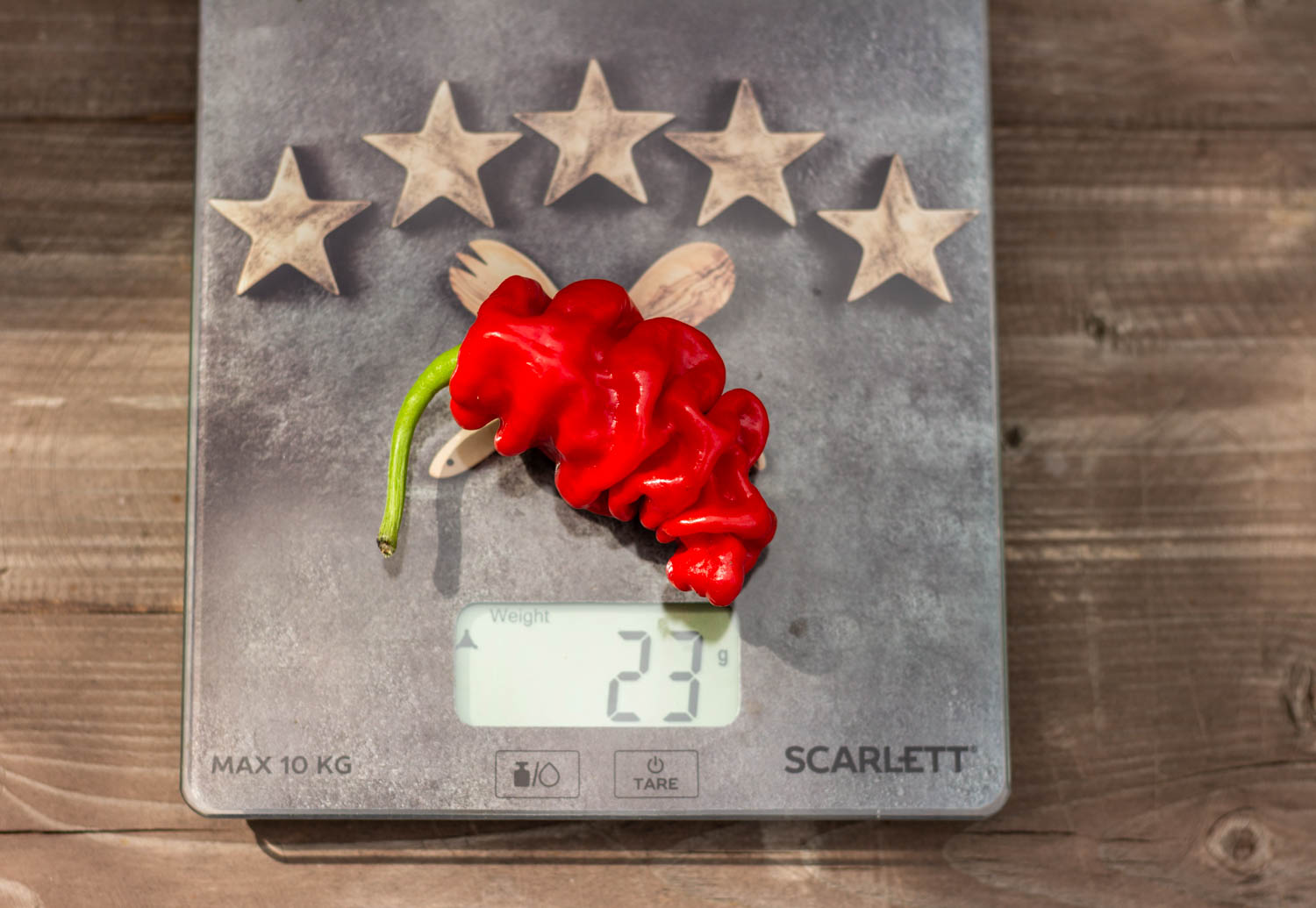 ШАРПЕЙ — изображение 2