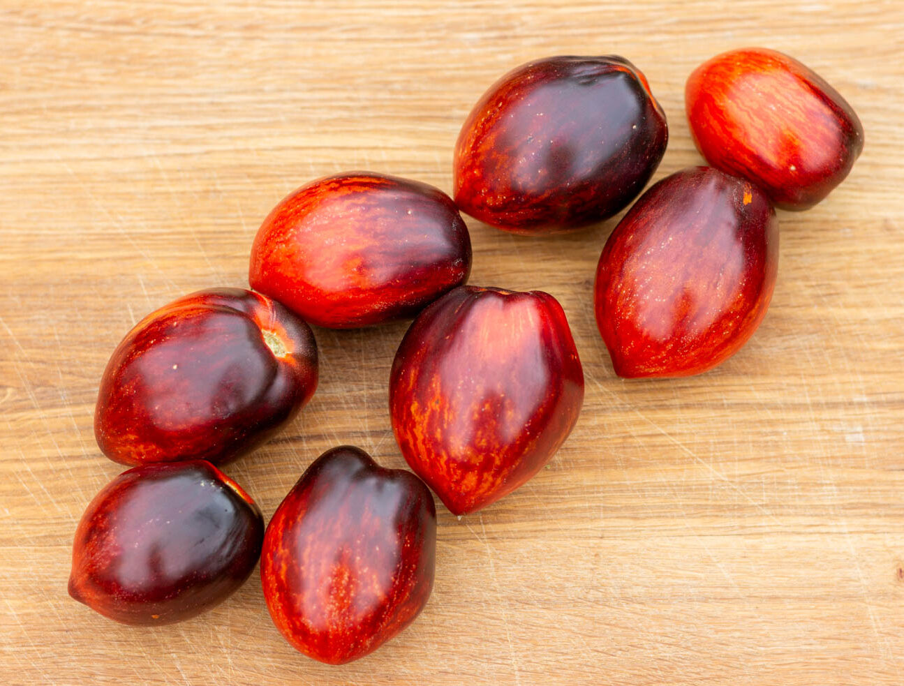 ШЕФ-ПОВАР РАУЛЬ БОКЮЗ Dwarf DSB Chef Raul Bocuse