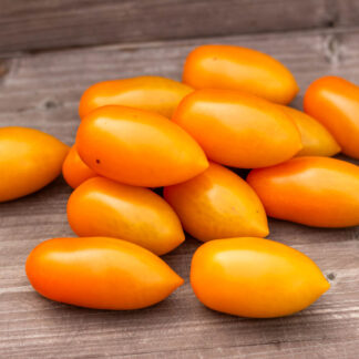 СКАЗОЧНОЕ ЗОЛОТО Märchengold