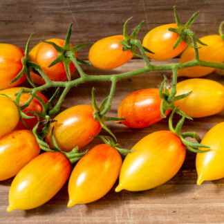 СКАЗОЧНАЯ МАГИЯ Märchenzauber